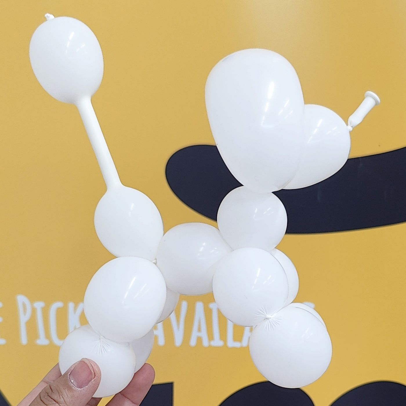 2 Hr Balloon Workshop (6yrs-16yrs)