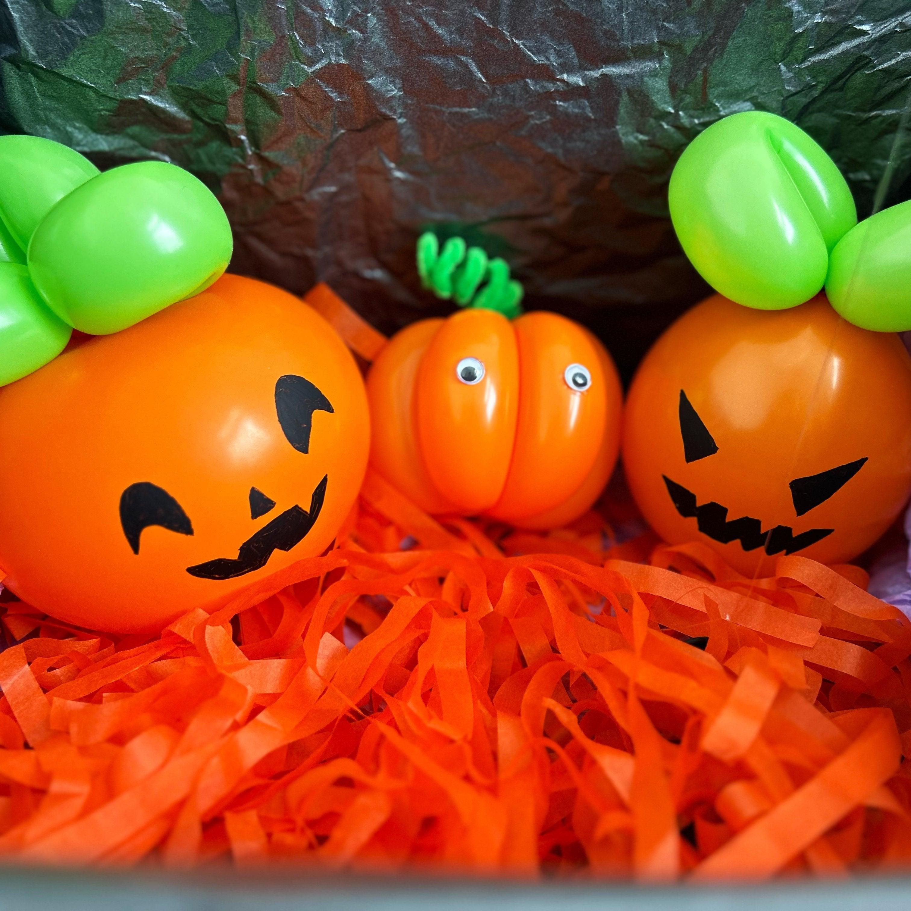 Parent & Kid Spooky BOO-LOON Workshop - Rainbow Flower Celebrate