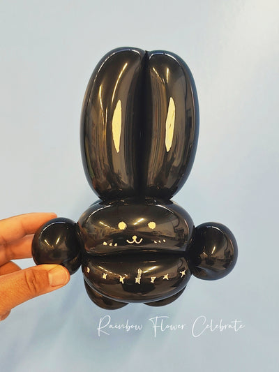 2 Hr Balloon Workshop (6yrs-16yrs)