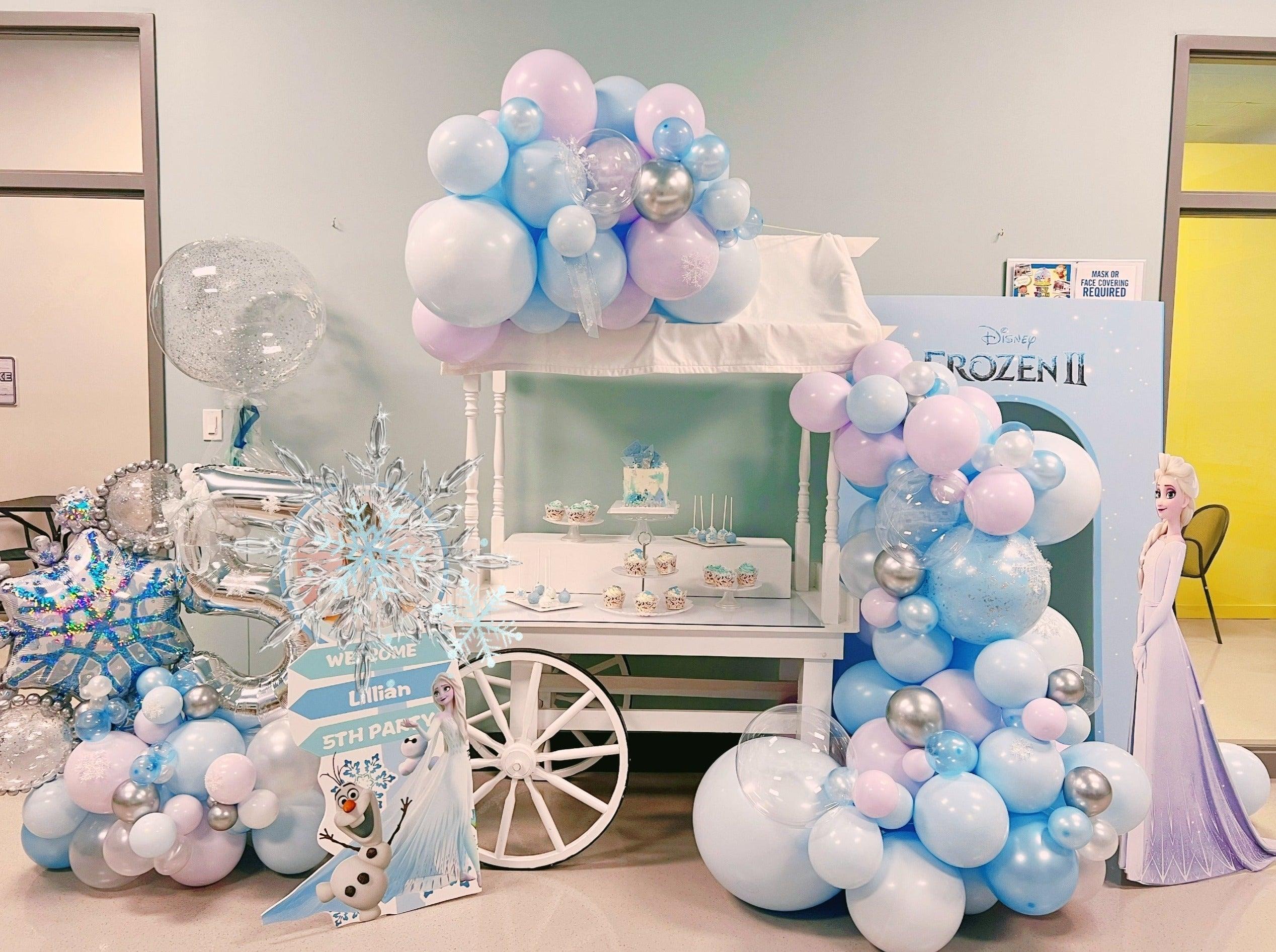 Frozen Themed Set Up - Rainbow Flower Celebrate