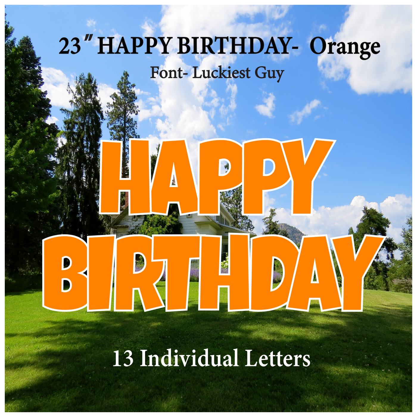 Solid Orange 23''HAPPY BIRTHDAY Including 13 Individual Letters