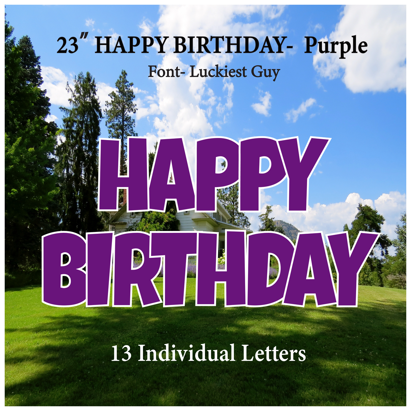 Solid Purple 23''HAPPY BIRTHDAY Including 13 Individual Letters