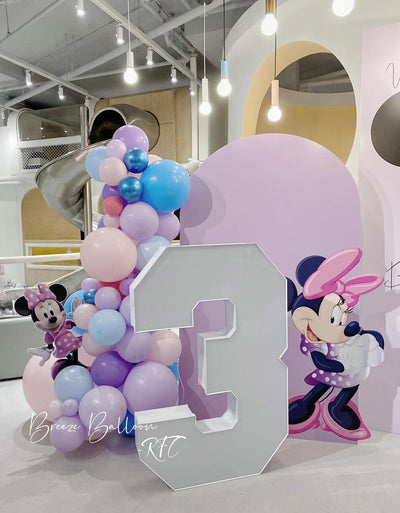 Micky&Minnie Themed Balloons, LED Number and Backdrops