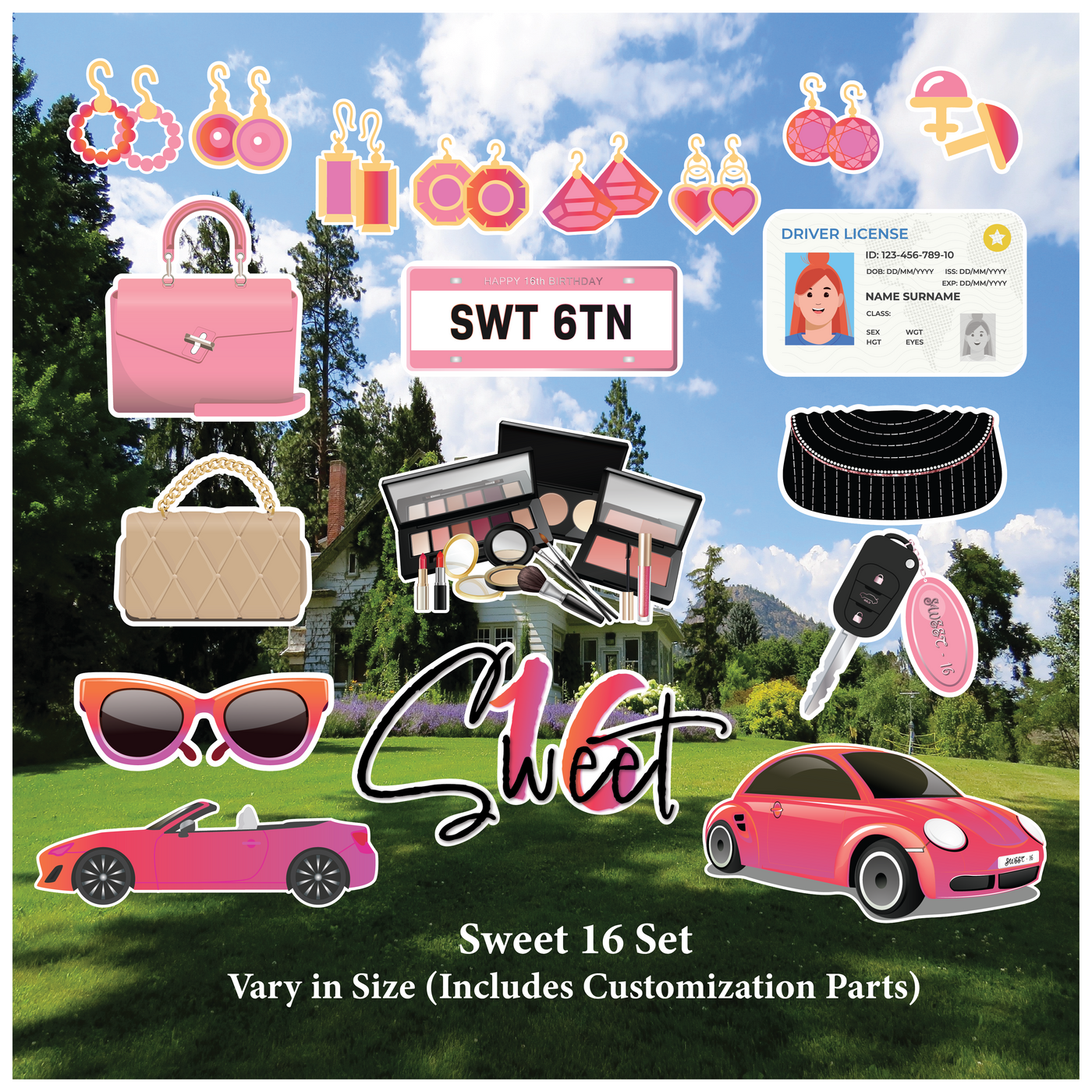 Sweet 16 Pink Themed Set